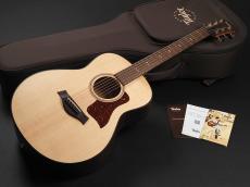 Taylor GT Urban Ash_2