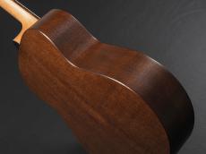 Taylor GT Urban Ash_11