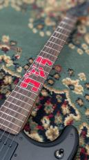 Fender Made in Japan Godzilla Stratocaster? Godzilla Blue_5