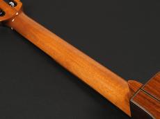 Martinez MSCC-14 OV_9