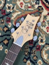 Paul Reed Smith [PRS] SE Silver Sky Rosewood - 8J - Storm Gray _4