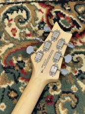 Paul Reed Smith [PRS] SE Silver Sky Rosewood - 8J - Storm Gray _8