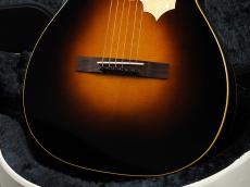 KING SNAKE Yucca ~Sunburst~_7