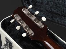 KING SNAKE Yucca ~Sunburst~_10