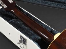 KING SNAKE Yucca ~Sunburst~_11