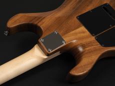 dragonfly Central Line Series CL-HST SSH Limited ~Natural~_11