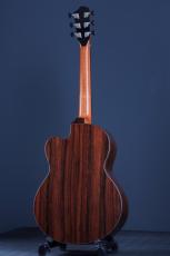 Peggy White OM Cutaway_3