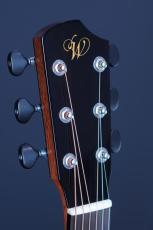 Peggy White OM Cutaway_6