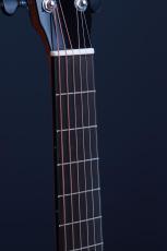 Peggy White OM Cutaway_7