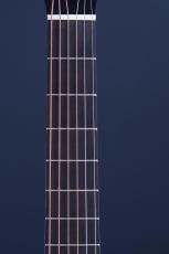 Peggy White OM Cutaway_8