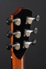 Peggy White OM Cutaway_9