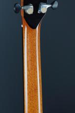 Peggy White OM Cutaway_10