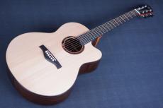 Peggy White OM Cutaway_12