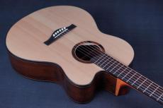 Peggy White OM Cutaway_14