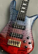 Spector 【48回無金利】Euro 5 LX Japan Exclusive -Intestellar-【NEW】