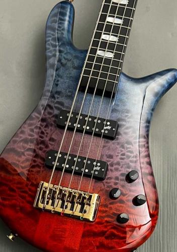 Spector 【48回無金利】Euro 5 LX Japan Exclusive -Intestellar-【NEW】