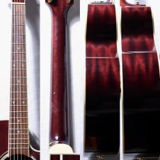 Takamine 【即納可】DMP551C WR【試奏動画あり】【中古】【大人気モデル!】【クロサワ楽器日本総本店】_4