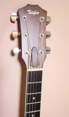 Taylor 414ce ES1 Ovangkol_11