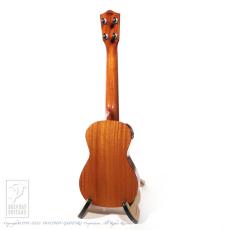 ASTURIAS Tiny Concert Maho【15回無金利対象品】_5