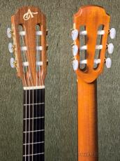 AVALON GUITARS A32J(Sitka/Indian Rosewood) w/Fishman Infinity -2003USED!!-【48回迄金利0%対象】_8