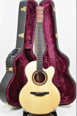 Jerome Cognet Irish Folk model