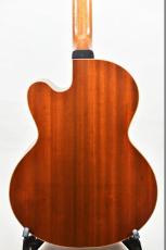 Jerome Cognet Irish Folk model_6