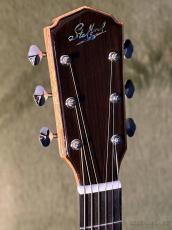 Stafford 【解説動画あり】Modern Series SFM-2【PU搭載】_5