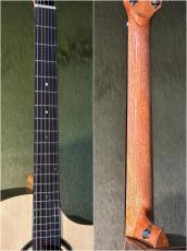 Stafford 【解説動画あり】Modern Series SFM-2【PU搭載】_8