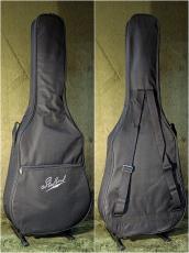 Stafford 【解説動画あり】Modern Series SFM-2【PU搭載】_11