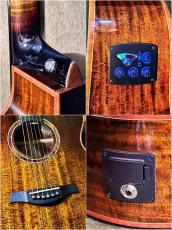 Stafford 【解説動画あり】Modern Series SFM-3【PU搭載】_10