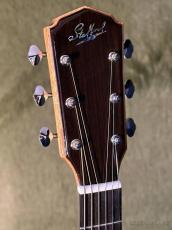 Stafford 【解説動画あり】Modern Series SFM-2【PU搭載】_5