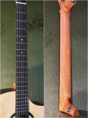 Stafford 【解説動画あり】Modern Series SFM-2【PU搭載】_8