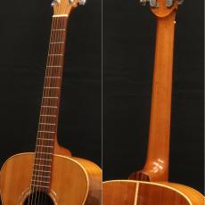 Lakewood M-22_6
