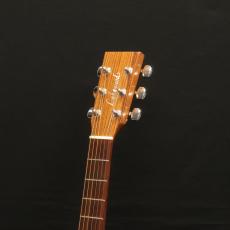 Lakewood M-22_7