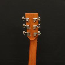 Lakewood M-22_8