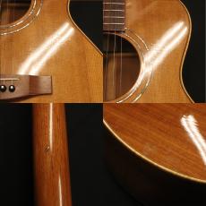 Lakewood M-22_9