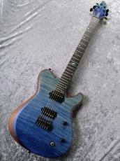 Hinnant Guitars Revival 6【極杢フレイムメイプルトップ】_2
