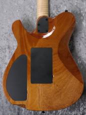 Hinnant Guitars Revival 6【極杢フレイムメイプルトップ】_8