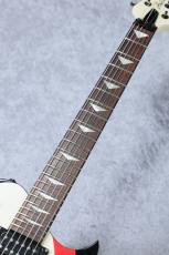 Aria Pro II PE-JAIL " Rock " 「2010年製 USED」_4