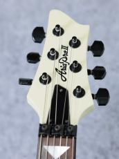 Aria Pro II PE-JAIL " Rock " 「2010年製 USED」_5