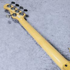 FUJIGEN Neo Classic NJB100MBAHV - Natural -【4.95kg】【#K240430】_9