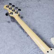 FUJIGEN NJB100RALV - Vintage White -【4.75kg】【#C250003】_9