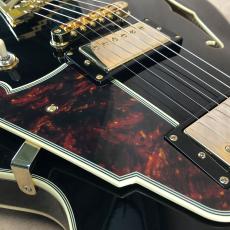 D'Angelico Excel Series Excel SS, Solid Black_10