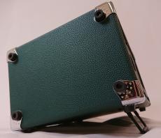 Phil Jones Bass 【数量限定カラー】Bass Cub Pro -Forest Green-【即納可】_7