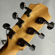 Furch Guitars Green Gc-SR a_6