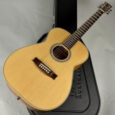 Maton 【現物画像】MASTER BUILT TE PERSONAL