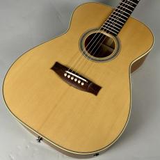 Maton 【現物画像】MASTER BUILT TE PERSONAL_2