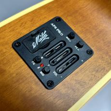 Maton 【現物画像】MASTER BUILT TE PERSONAL_10