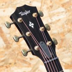 Taylor 50th Anniversary Builder's Edition 314ce LTD Natural_8