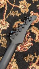 RUF Guitars Master Schr?dinger 6 Black_10